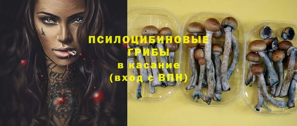 амф Абдулино