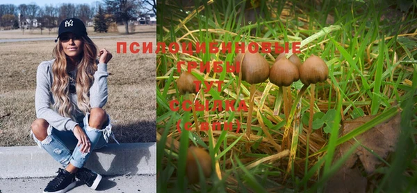 МДПВ Абинск