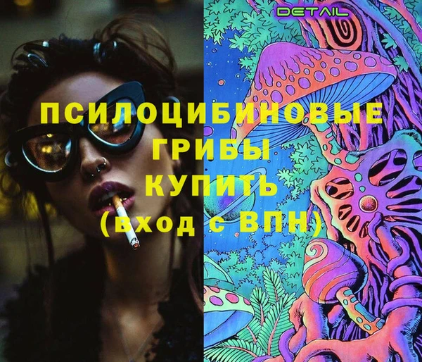 МДПВ Абинск