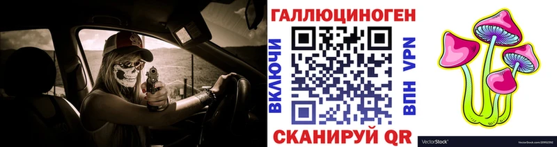 Галлюциногенные грибы Cubensis  как найти   Новоалтайск 