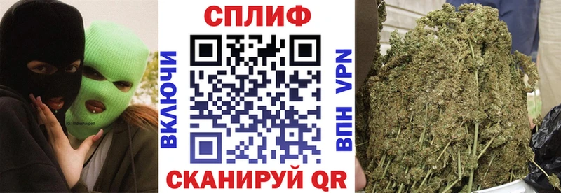 Канабис OG Kush  Новоалтайск 