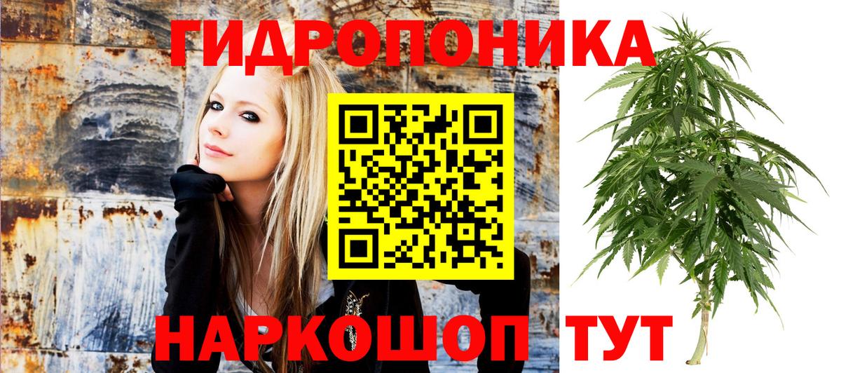 Бошки марихуана AK-47 Новоалтайск